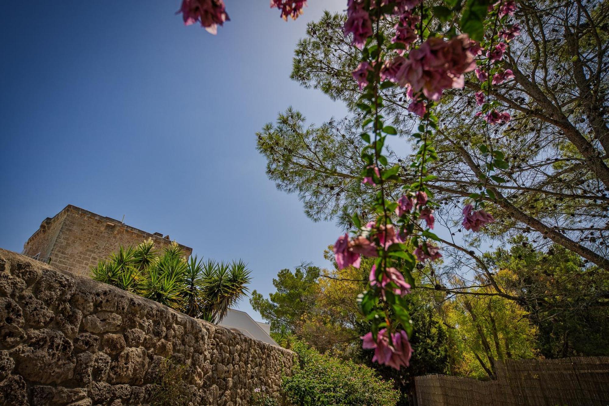 Torre Casciani Villa Ugento Buitenkant foto