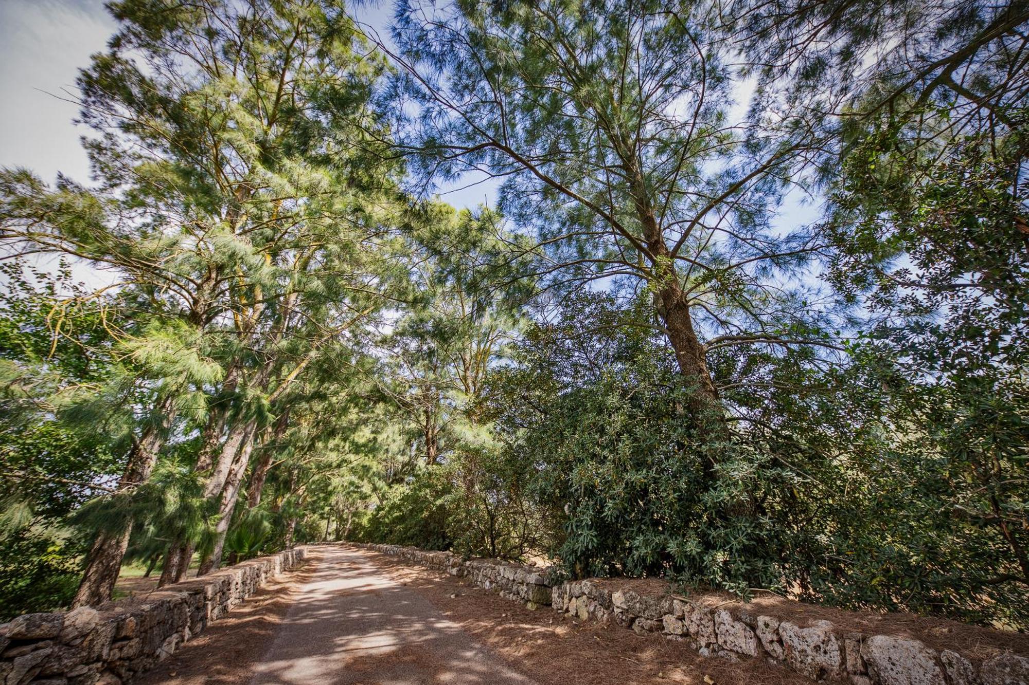 Torre Casciani Villa Ugento Buitenkant foto