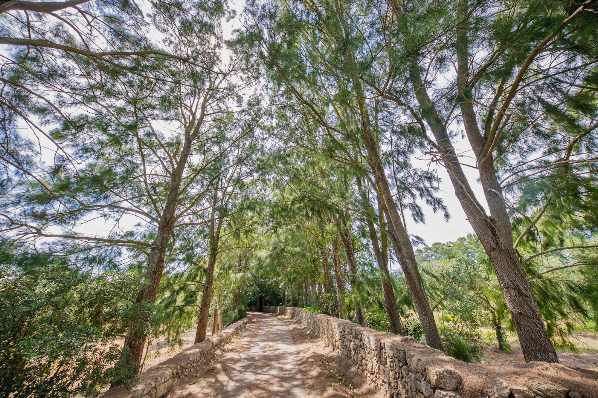 Torre Casciani Villa Ugento Buitenkant foto